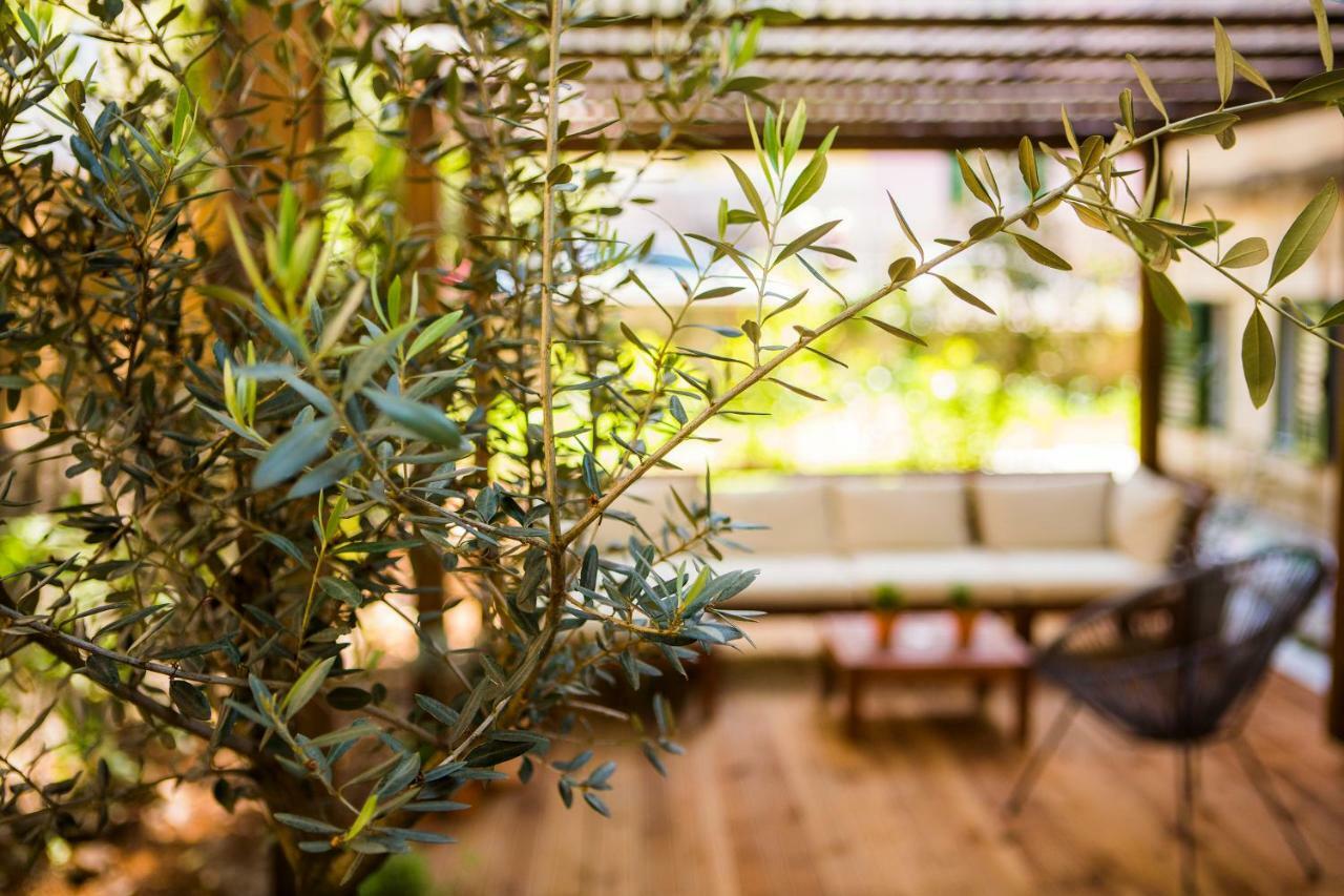 Luxurious Apartment With Private Garden سبليت المظهر الخارجي الصورة